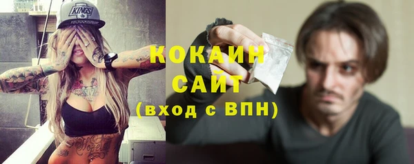 твердый Аркадак