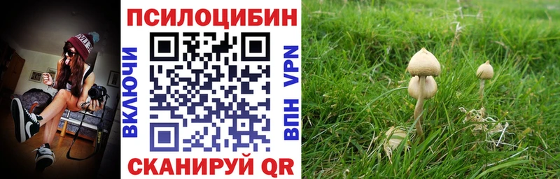 omg как войти  Цивильск  Псилоцибиновые грибы прущие грибы 
